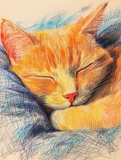 Dibujo 4to de Secundaria